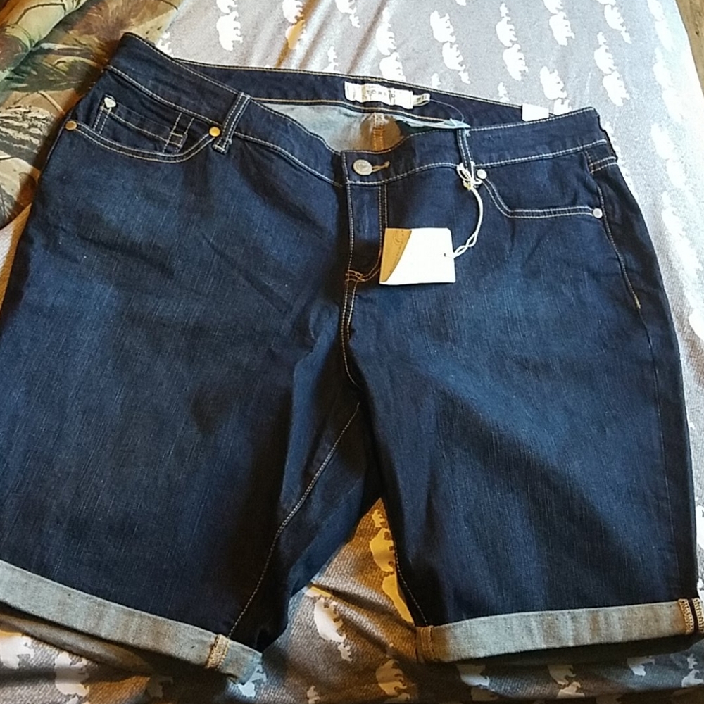 Torrid Shorts